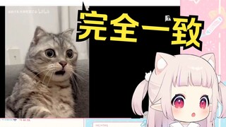 日本萝莉看《交完配音作业，班副把我拉黑了》当场模仿 简直完全一致