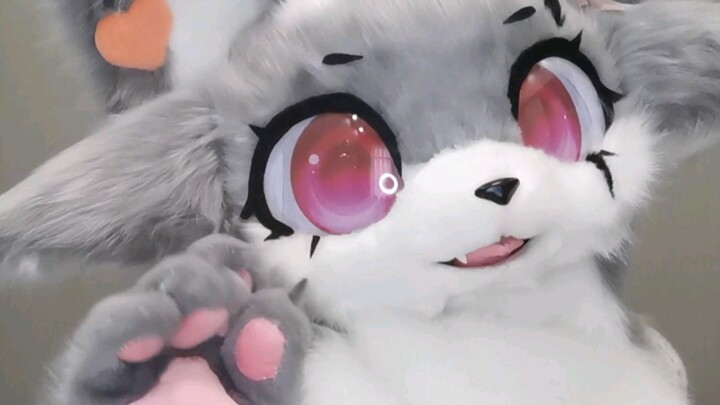 [Fursuit] Even though they're twins, their temperaments are completely different (laughs)