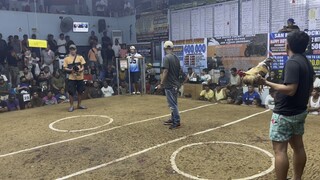 Talo anak ng budol dome