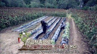 Three Meals A Day Episode 8 - Engsub