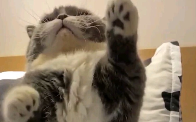 Biar kamu tahu apa yang disebut "sejengkal panjang, sejengkal kuat"