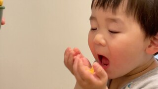 条条与渣渣的故事远没有结束！