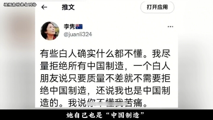 Li Jun's Life Overview as a Digital Pet