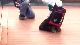 هل يلعب الأطفال الآن بهذه القسوة؟