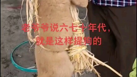 Ilmu langka yang telah hilang sejak lama