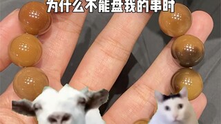 家人们，谁懂呀(bushi