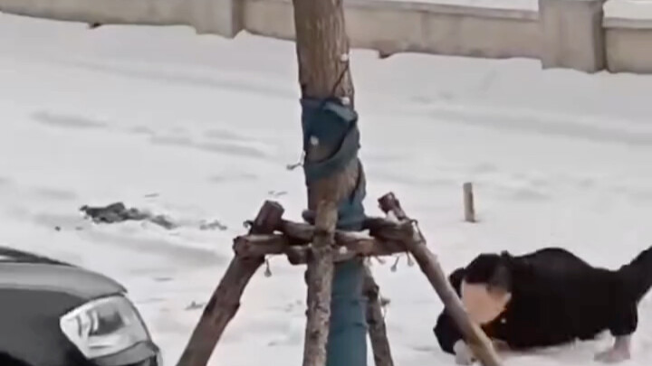 A man set off firecrackers in the snow, then turned and ran—only to slip on the icy ground and be un
