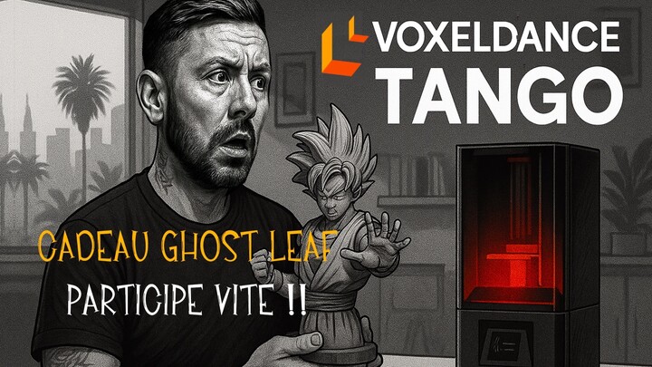 Comment je fabrique vos cadeaux ?  Voxel Dance Tango