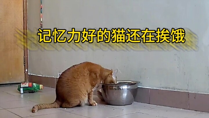 The benefits of having a bad memory are finally showing!