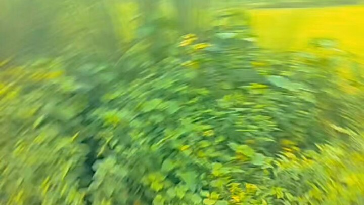 short video