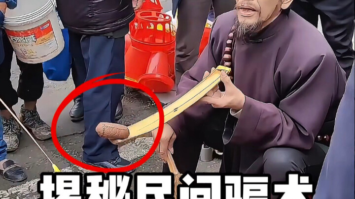 Unveiling Folk Deceptions: The Walking Salted Duck Egg.