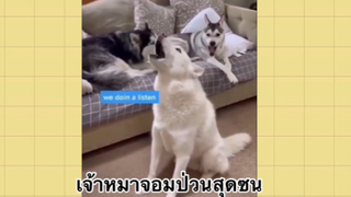เพื่อนตัวน้อย สัตว์เลี้ยงแสนซน : เจ้าหมาจอมป่วนสุดซน