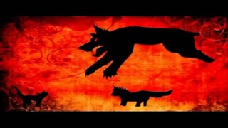 [Warriors MAP] Rules of Nature - Firestar VS Tigerstar