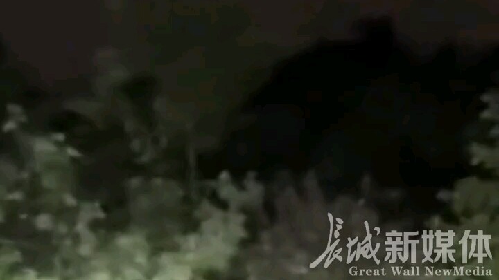 หนุ่มพยายามย้ายต้นไม้ที่ขวางทาง แต่ไม่คาดคิดว่ากิ่งไม้จะหัก ชาวเน็ตคอมเมนต์: แป๊บเดียวก็หายวับไปแล้ว