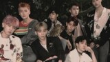 [Remix][KPOP]The most handsome boy group I have ever seen|EXO