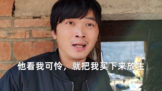 “450元转让二手舔狗，可小刀”