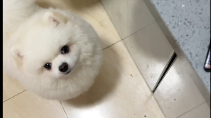 Coffeelittleboy | Mom eats the chicken leg, I eat the edges.