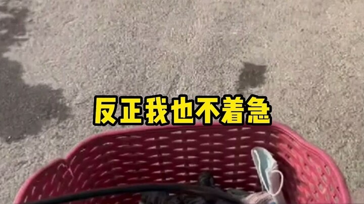 Girl at Train Station Encounters Old Lady Pedaling a Tricycle to Haggle for Passengers — When the Ol