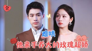 [ENG SUB] The Rose raised by hand is Hard to Coax | Zou Shengwen & Tian Miaomiao