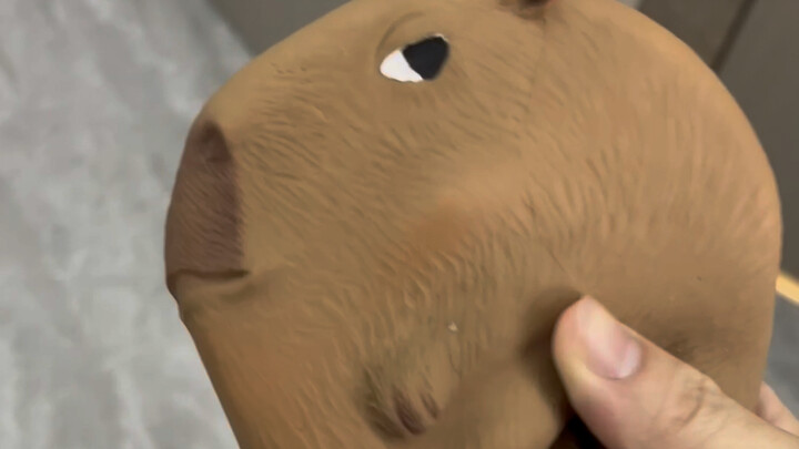 Sao chuột lang nước lại bị cửa kẹp bẹp vậy?