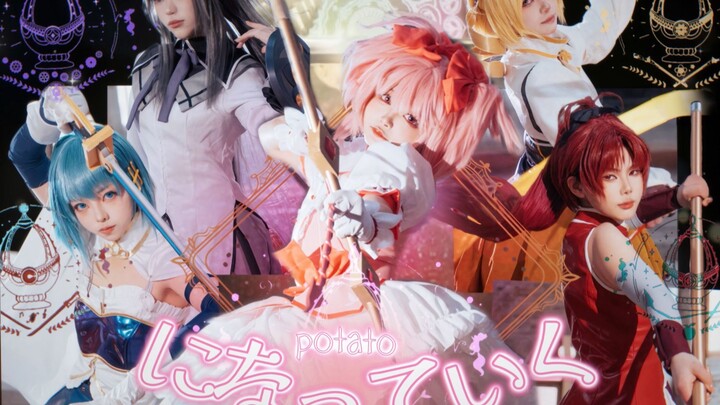 【魔圆x变身土豆】廉价的青春也好眼泪也罢 就这样全部变成土豆吧！potatoになっていく【wani振幅】