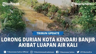 Warga Lorong Durian Kendari Sulawesi Tenggara Sebut Banjir Dari Luapan Kali yang Tak Dibersihkan