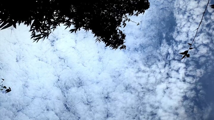 Sky🤍✨