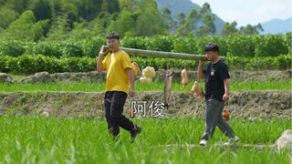 This is truly the pinnacle of puppy adoption!