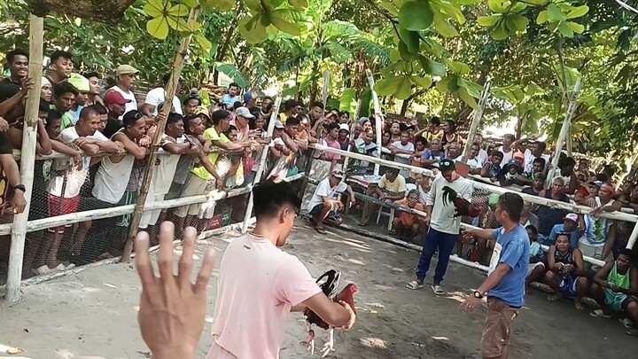 sayang Yung mga Palo ng manok namin kung tumama lang lahat , pero panalo parin sa huli.