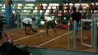 fc