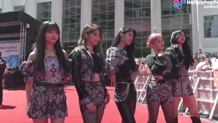 【EVERGLOW】HallyuPopFest ลอนดอน 2022 คลิปพรมแดงสด (220709)