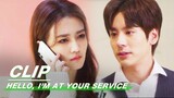 Dong Dongen Suspects Lou Yuan | Hello, I'm At Your Service EP15 | 金牌客服董董恩 | iQIYI