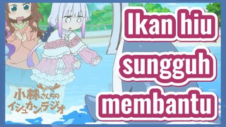 Ikan hiu sungguh membantu