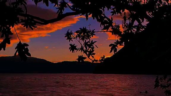 hermoso 💞