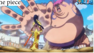 Thách Đấu Sumo. Mũ Rơm VS Yokozuna Mạnh Nhất #Onepiece