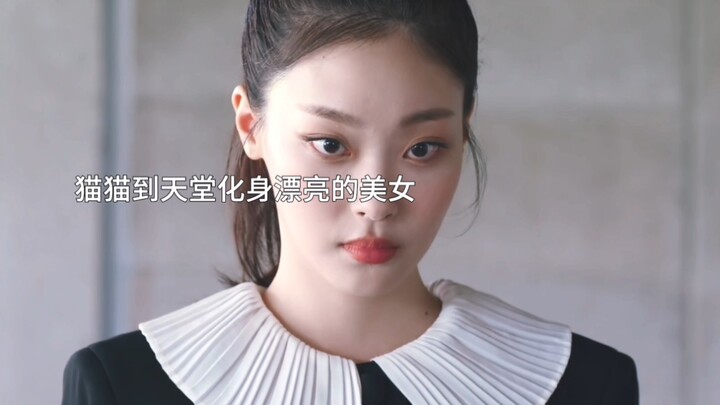 Mèo con nhận ra cô trước cả chủ, vì cô từng là cả thế giới của nó… Anh quay phim thực sự quá xuất sắ