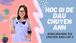 Kinh nghiệm thi chuyên Anh vào cấp 3  | mình học sách gì, ôn như thế nào ?