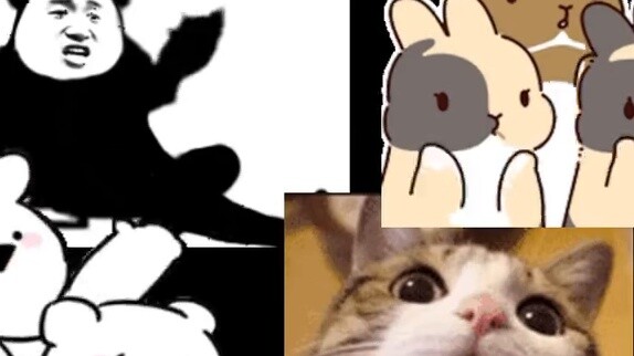 Four days and three nights of valley hunting challenge! Shanghai Valley Circle Summer Vacation Speci