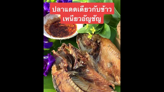 🥰 ปลาแดดเดียวข้าวเหนียวอัญชัญ