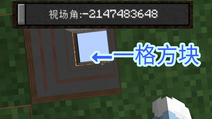 [Minecraft] Nếu góc nhìn là số âm thì điều gì sẽ xảy ra?