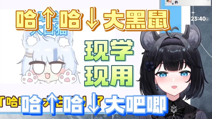 【花礼】看《哈↓哈↑，大白猫！是什么梗？》她到底是不是猫啊？