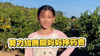小姨舅舅们想吃正宗赣南脐橙找我喔，努力给妈妈挣药费的女孩