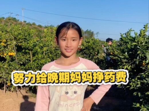 Bibi dan paman, kalau ingin makan jeruk navel GanNan asli, cari aku ya, gadis yang berusaha keras me