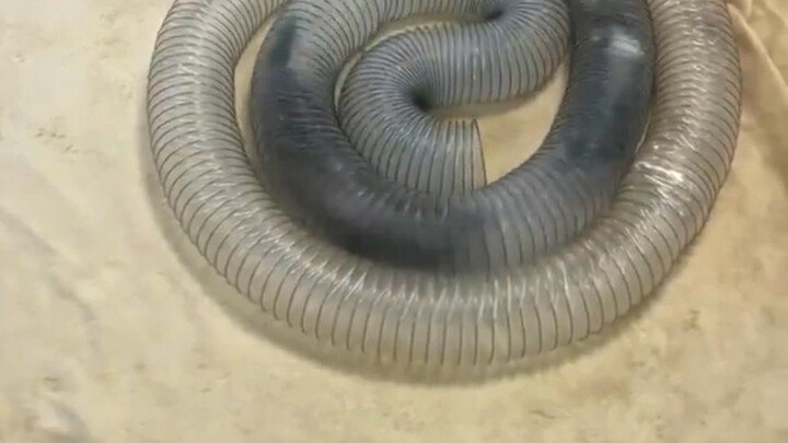 一条水管够他们玩一天的～～