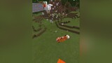 Theo mọi người tỉ lệ ngáo đá của loài Cáo là bao nhiêu % 🤣 haha minecraft fox vinhmc chicken minecraftpe