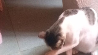 🤪