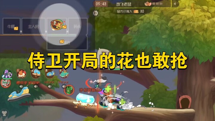 เกมมือถือแมวกับหนู: แม้แต่ดอกไม้ที่เจ้าหน้าที่รักษาพระองค์เปิดฉากก็ยังกล้าแย่งชิง