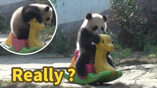Panda: How to Make This Yellow Horse Run