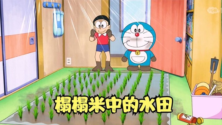 Nobita and Dora even planted rice in their room in order to eat rice cakes