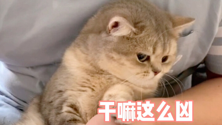 Potong kuku sambil manja—kamu itu ‘yeyey’ kan?